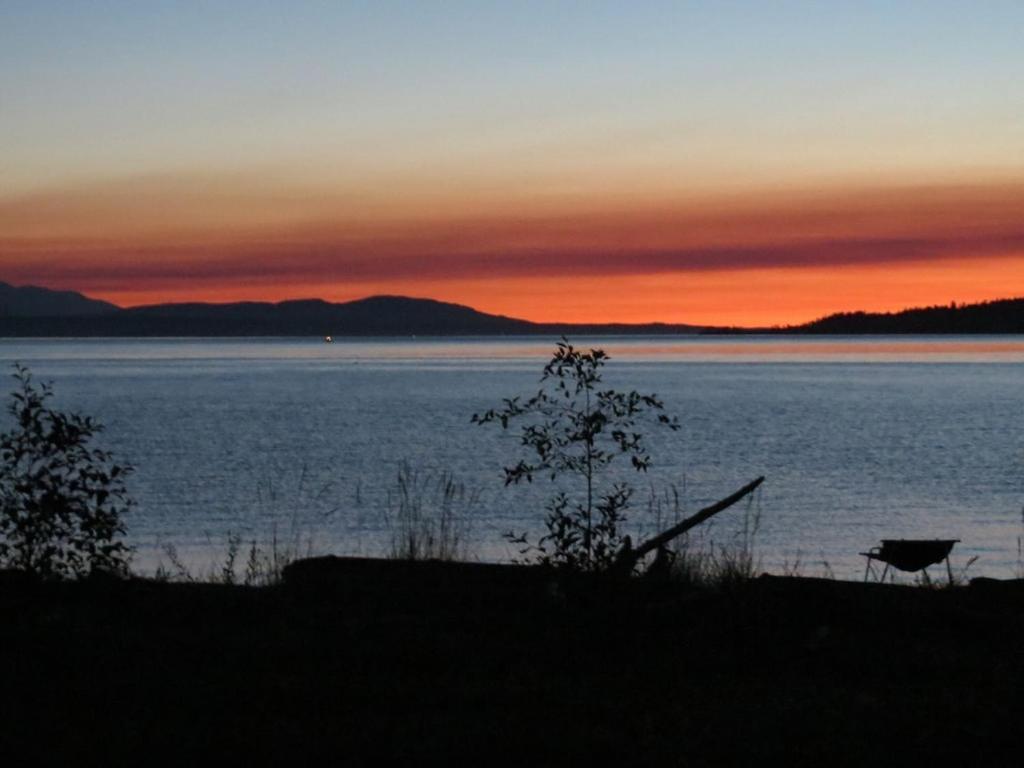 Maxwelton Beach Sunsets! Kayaks & Paddleboards! 1 Min Walk To The Water! Clinton Exterior photo